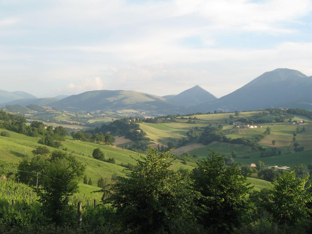 Locanda Dell'Istrice Camerino Chambre photo